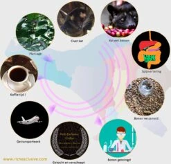 Kopi Luwak Koffie. 35 Gram Ongemalen Bonen. Direct Trade. Single Origin. The Original By Rich.Exclusive. 26 Kopi Luwak Koffie. 35 Gram Ongemalen Bonen. Direct Trade. Single Origin. The Original By Rich.Exclusive. -Café 1200x1153