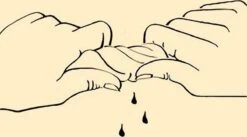 Merkloos Drie Wasbare Koffiefilters Herbruikbaar - Ongebleekt Biologisch Katoen - Wasbaar - Zero Waste - Duurzaam 14 Merkloos Drie Wasbare Koffiefilters Herbruikbaar - Ongebleekt Biologisch Katoen - Wasbaar - Zero Waste - Duurzaam -Café 1200x664