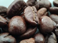 Voordeelpakket: Den Leeuw Lungo (80 Koffiecups) - Roast Koffiecups - Echte Hollandsche Koffie Van Den Leeuw In Nespresso Cups - Nespresso Compatibele Koffie Cups -Café 1200x900 2